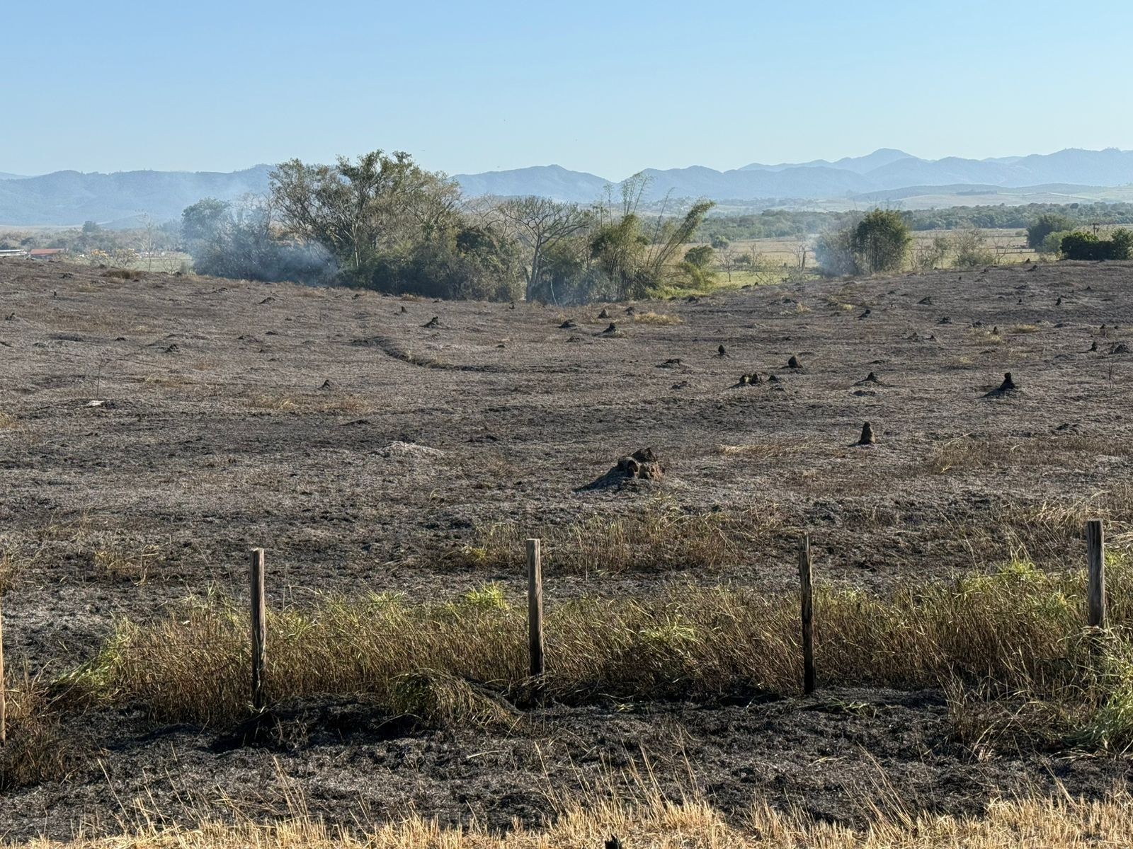 foto Notícia Campos do Jordão