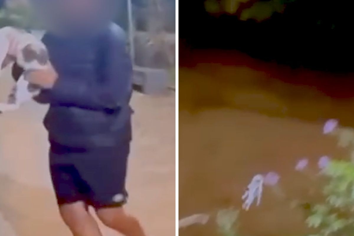 foto Not&iacute;cia Campos do Jordão